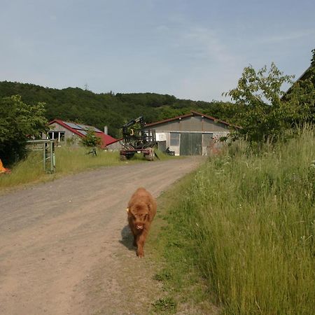 Rech Hof Urlaub Auf Dem Bauernhof Schalkenbach Exterior foto