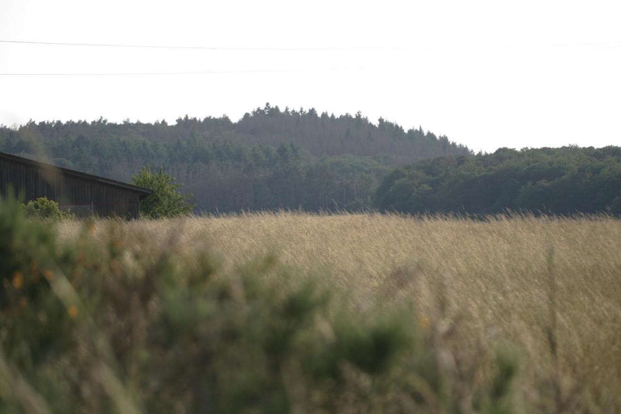 Rech Hof Urlaub Auf Dem Bauernhof Schalkenbach Exterior foto