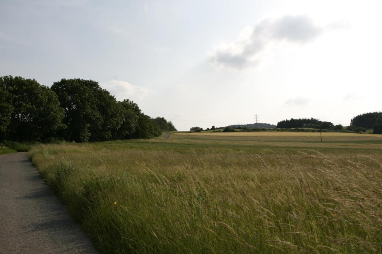 Rech Hof Urlaub Auf Dem Bauernhof Schalkenbach Exterior foto