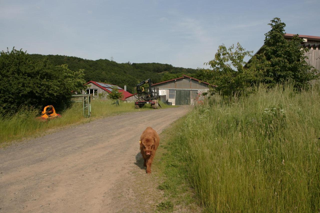 Rech Hof Urlaub Auf Dem Bauernhof Schalkenbach Exterior foto