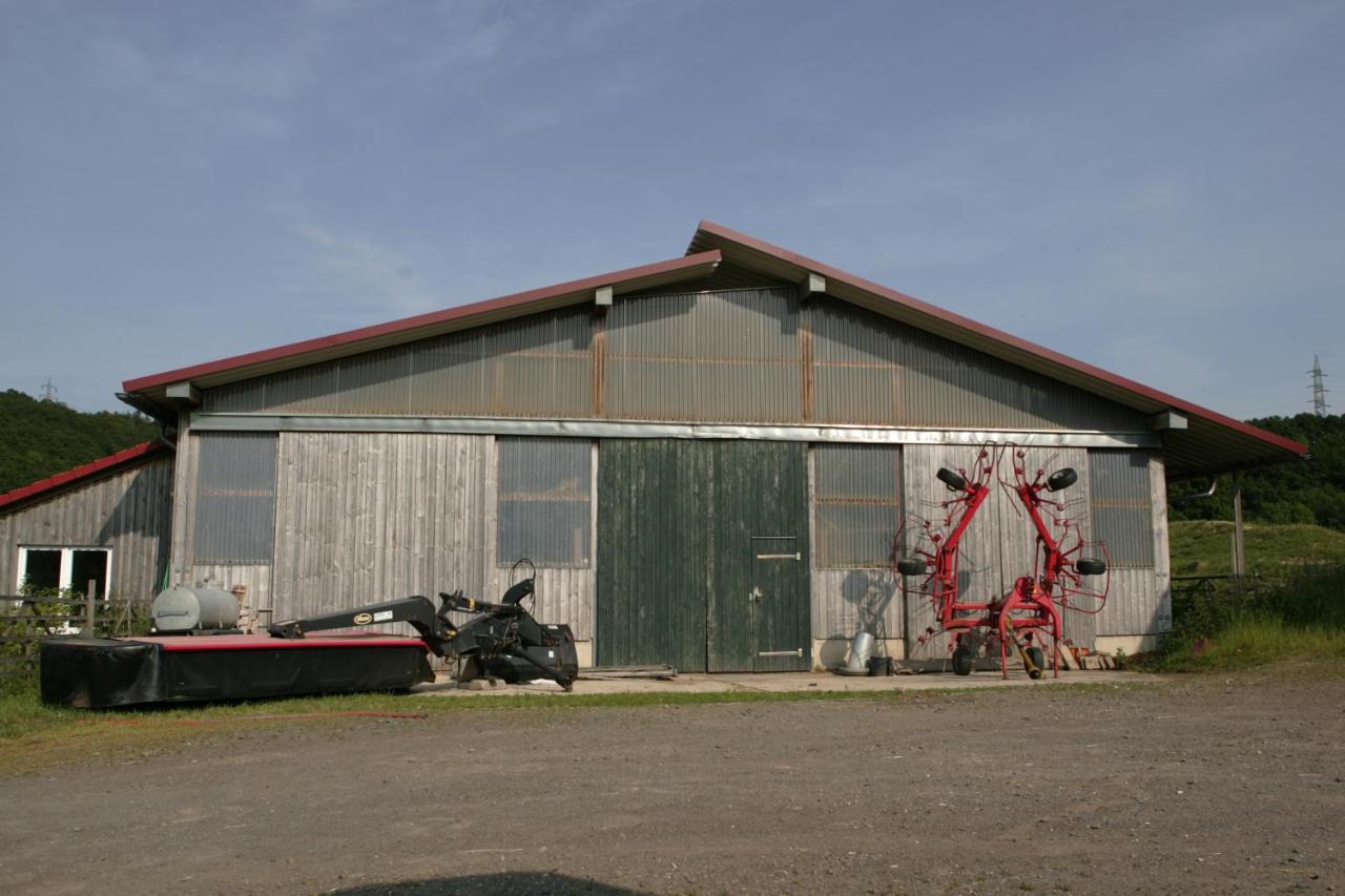 Rech Hof Urlaub Auf Dem Bauernhof Schalkenbach Exterior foto