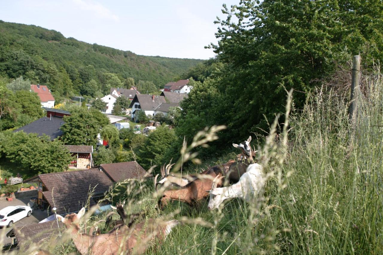 Rech Hof Urlaub Auf Dem Bauernhof Schalkenbach Exterior foto