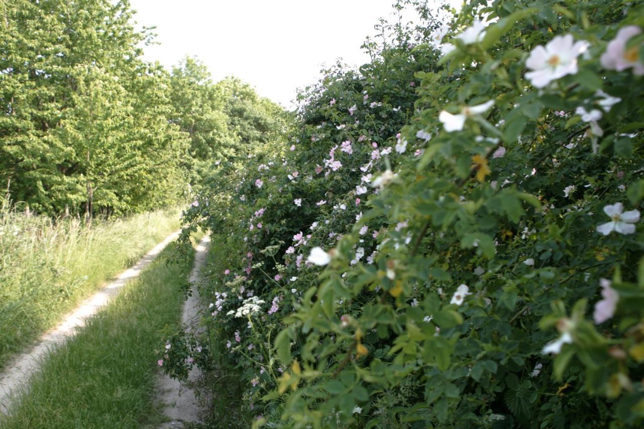 Rech Hof Urlaub Auf Dem Bauernhof Schalkenbach Exterior foto